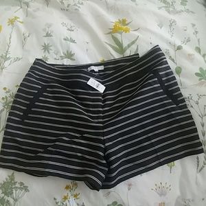 Loft Riviera Short. New with tags!