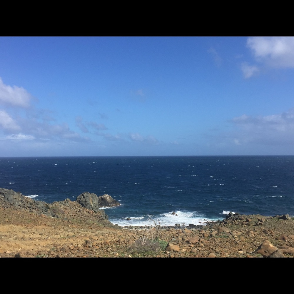 Meet your Posher, Maggie