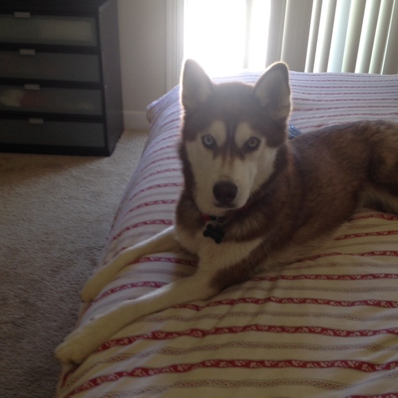 Meet your Posher, Shannon - Picture 1 of 1