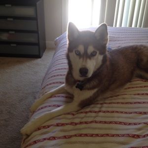 Meet your Posher, Shannon