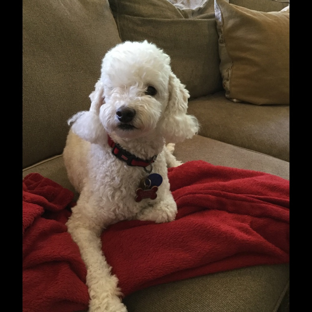 Meet your Posher, Christie