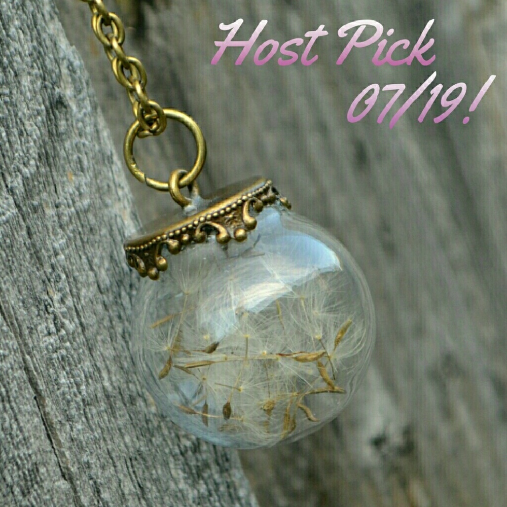 Host Pick!!!  Glass Orb Bronze Dandelion Necklace