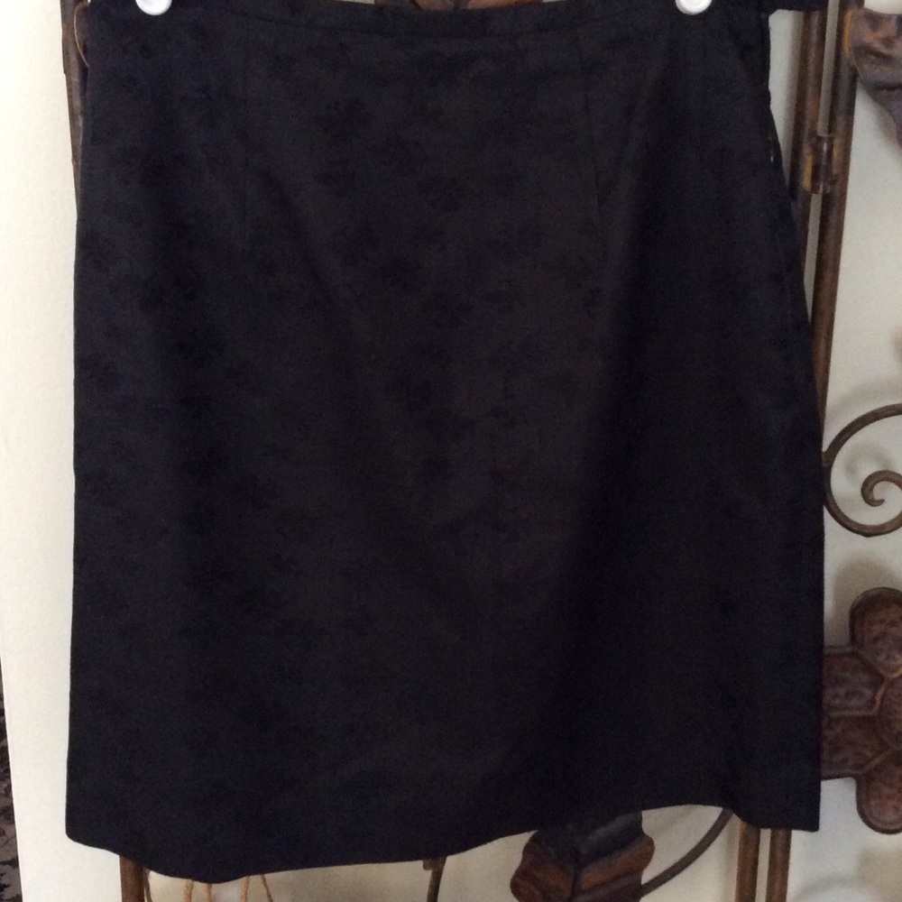 Ann Taylor skirt