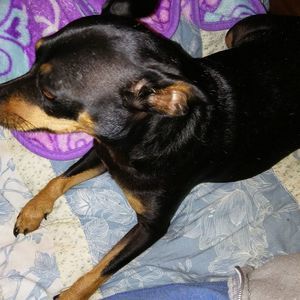 Meet your Posher, Betty