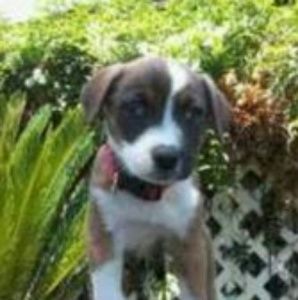 Meet your Posher, Karen