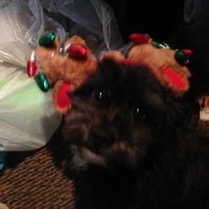 Meet your Posher, Gail