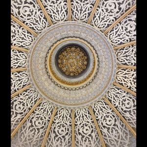 Meet your Posher, Shirley