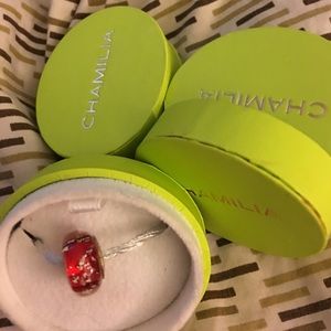 Beautiful Chamilia authentic bead