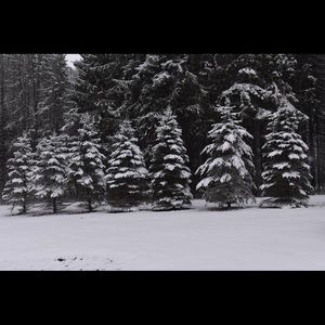 Meet your Posher, Maddie