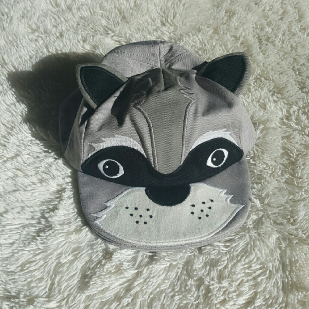 Raccoon Baseball Hat NWOT