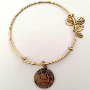 Cape Cod Alex and Ani Bangle