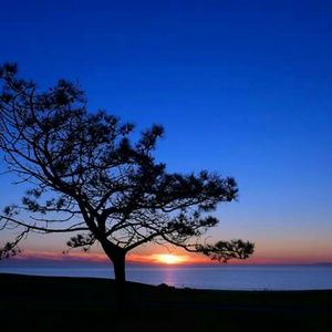 Meet your Posher, Kathryn