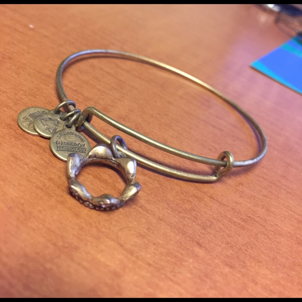 Alex and Ani Princess Tiara Bangle