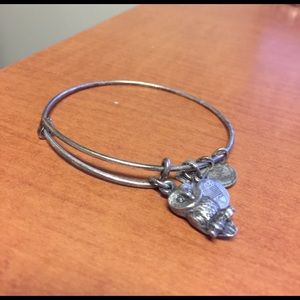 Alex and Ani wise owl Bangle