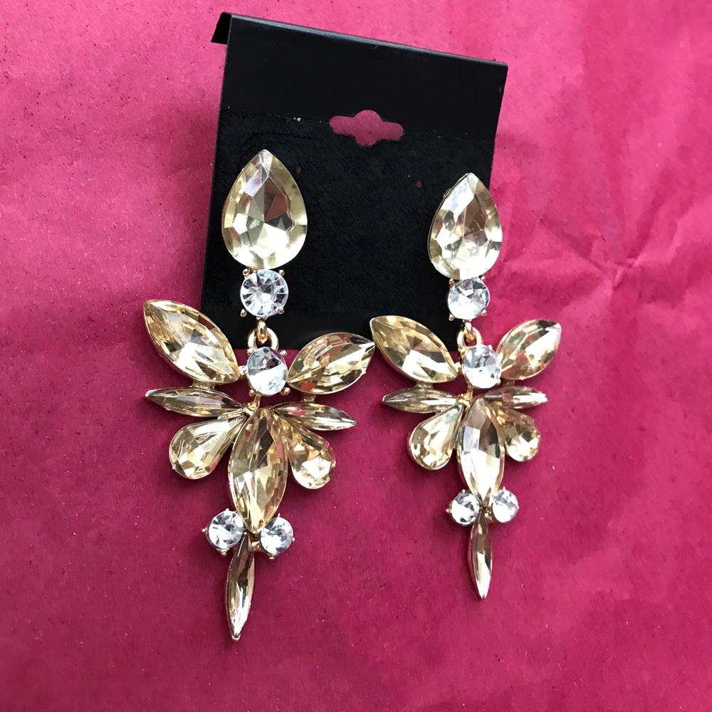 Fabulous Crystal Statement Earrings Beautiful