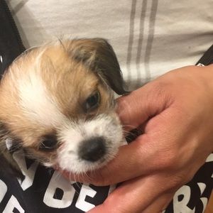 Meet your Posher, Hilda