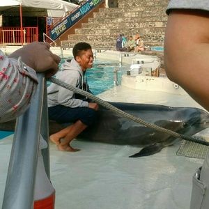 Meet your Posher, Elyse