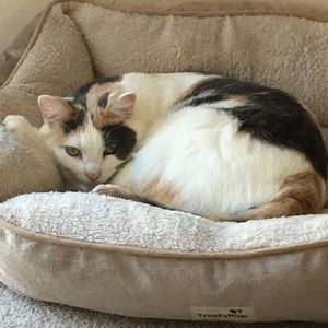 Meet your Posher, Amber