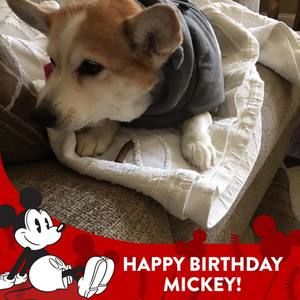 Meet your Posher, Ann