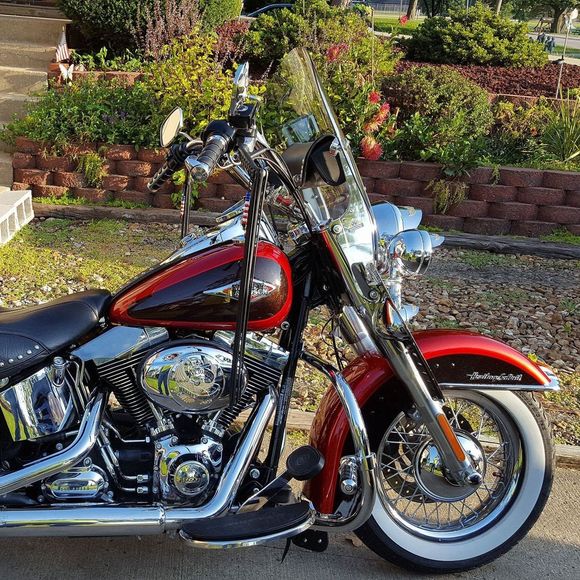 Meet your Posher, Tom - Picture 1 of 1