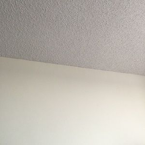 Meet your Posher, Susana