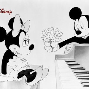 Meet your Posher, Frankie