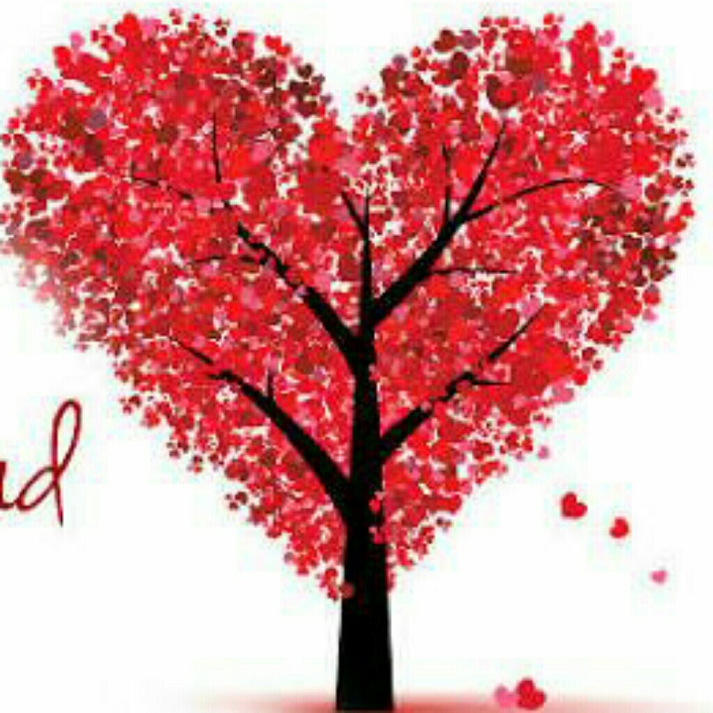 Meet your Posher, Ja