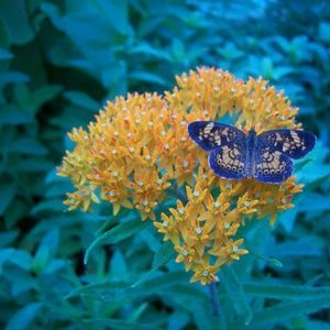 Meet your Posher, Jean