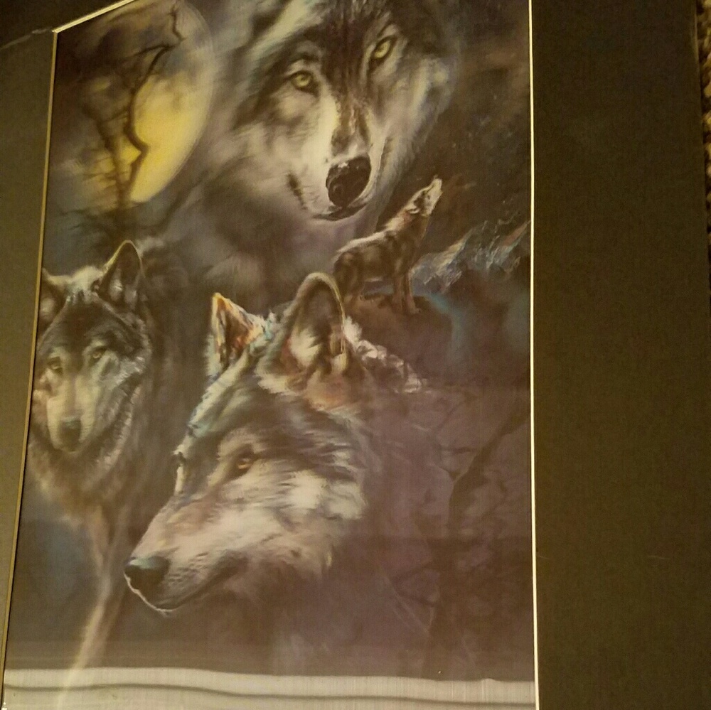 Wolf portrait - Picture 2 of 3