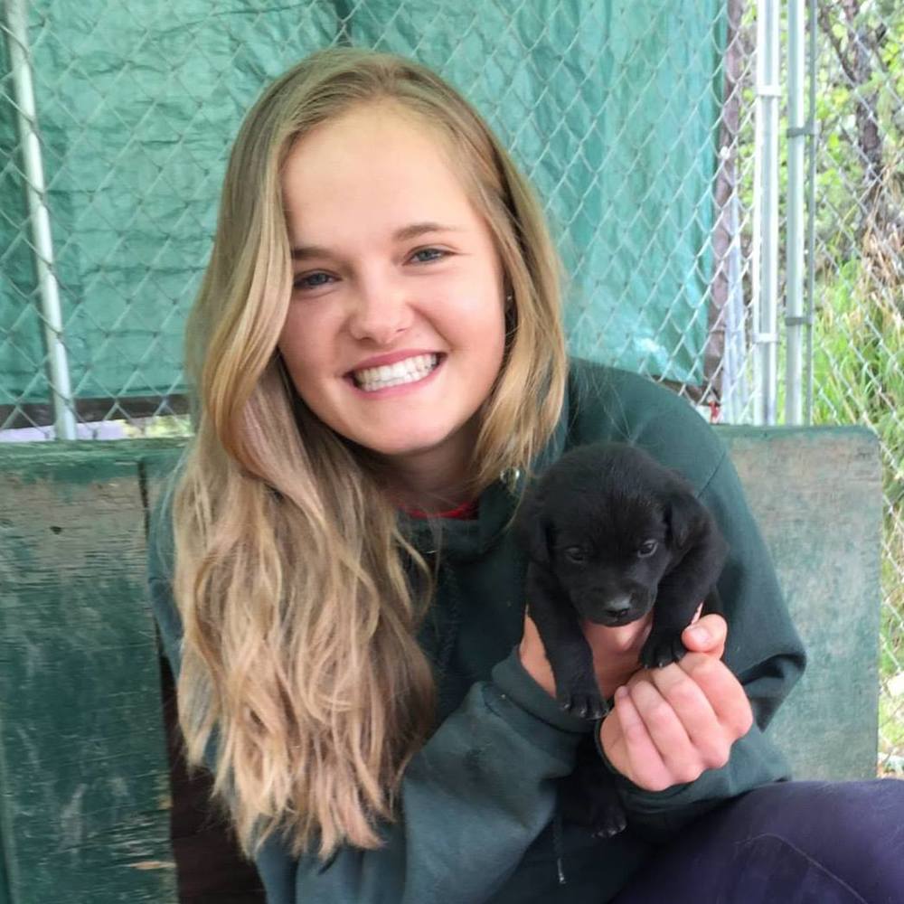 Meet your Posher, Alea