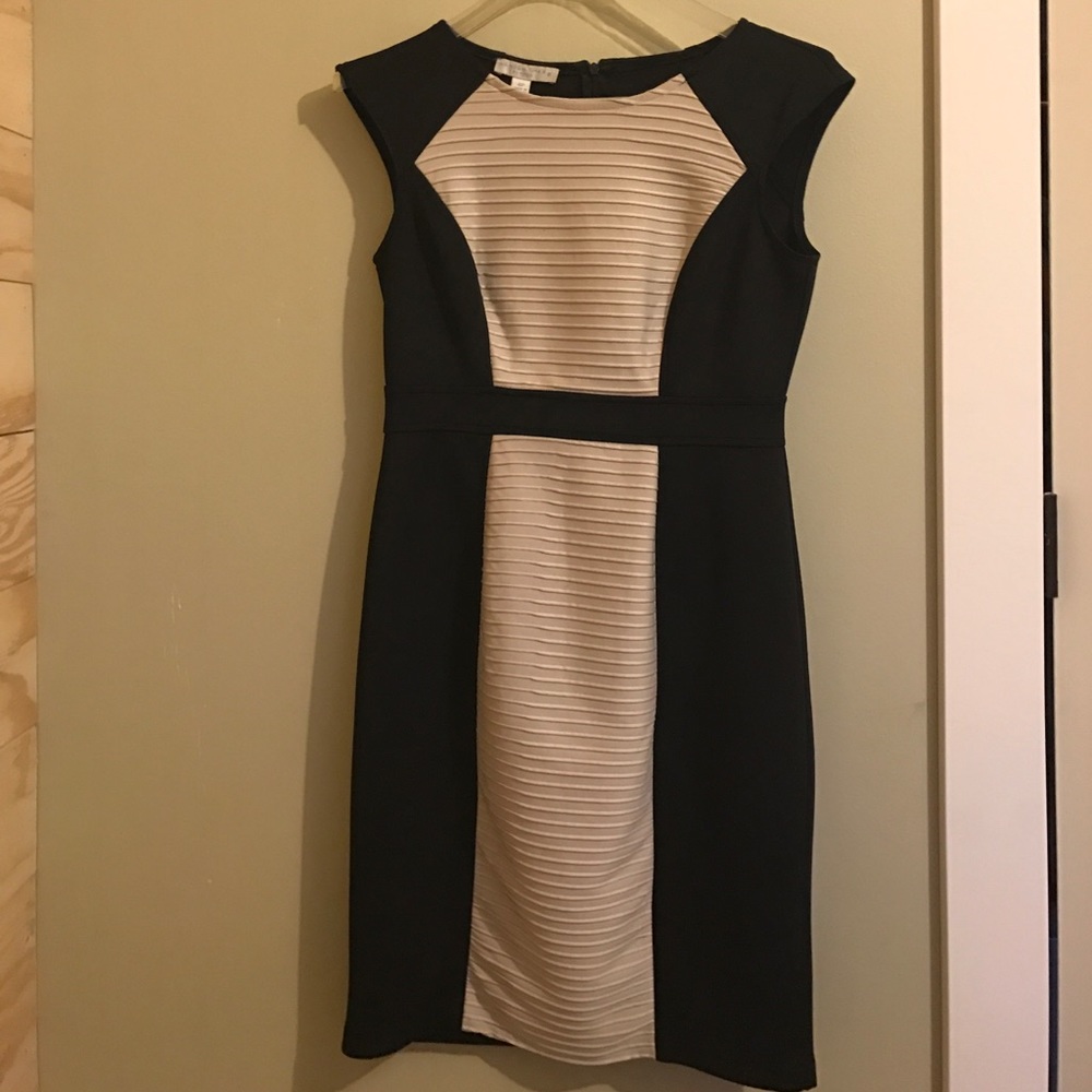 Professional Dress Black and Light Tan