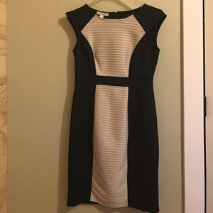 Professional Dress Black and Light Tan
