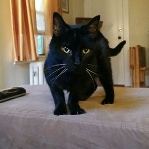 Meet your Posher, Victoria