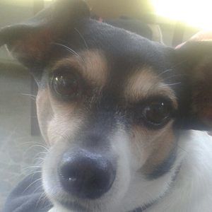 Meet your Posher, Malcolm