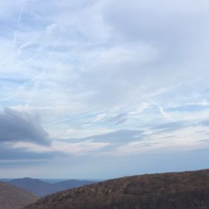 Meet your Posher, Meg