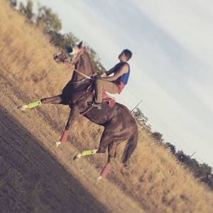 Meet your Posher, Ulysses miseal