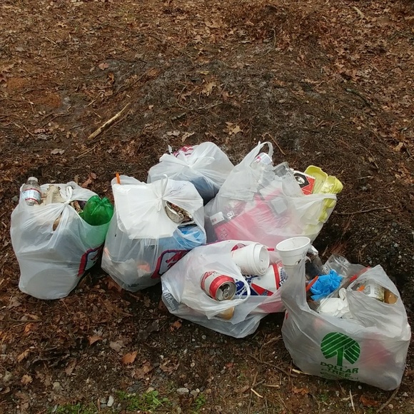 Meet your Posher, Beth. We are smoke and pet free. - Picture 6 of 8