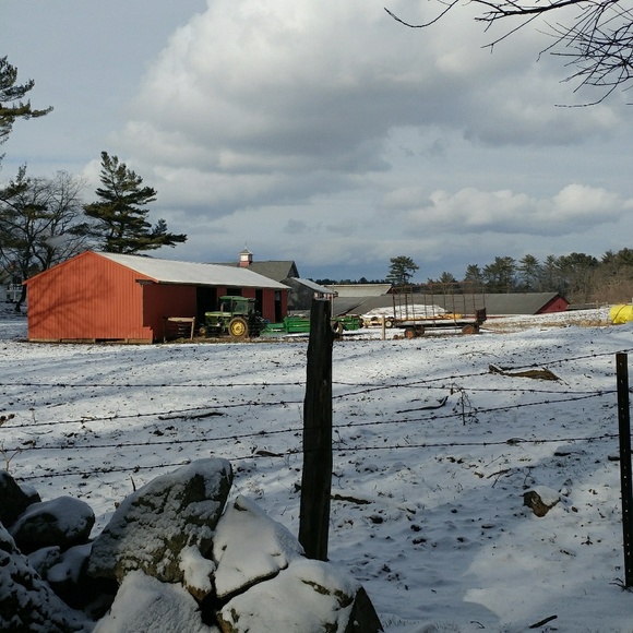 Meet your Posher, Beth. We are smoke and pet free. - Picture 8 of 8