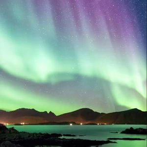 Meet your Posher, Katlyn