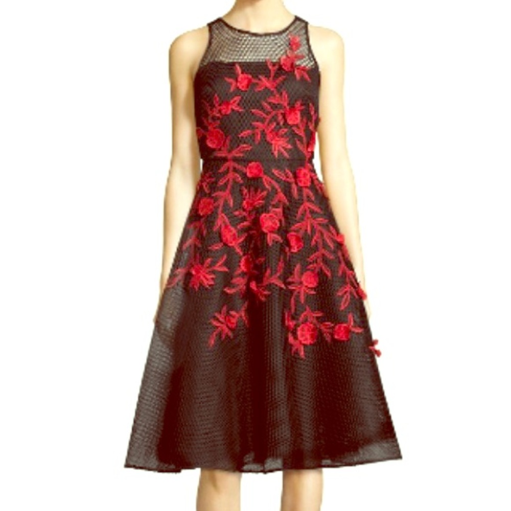 Sachin and Babi dress