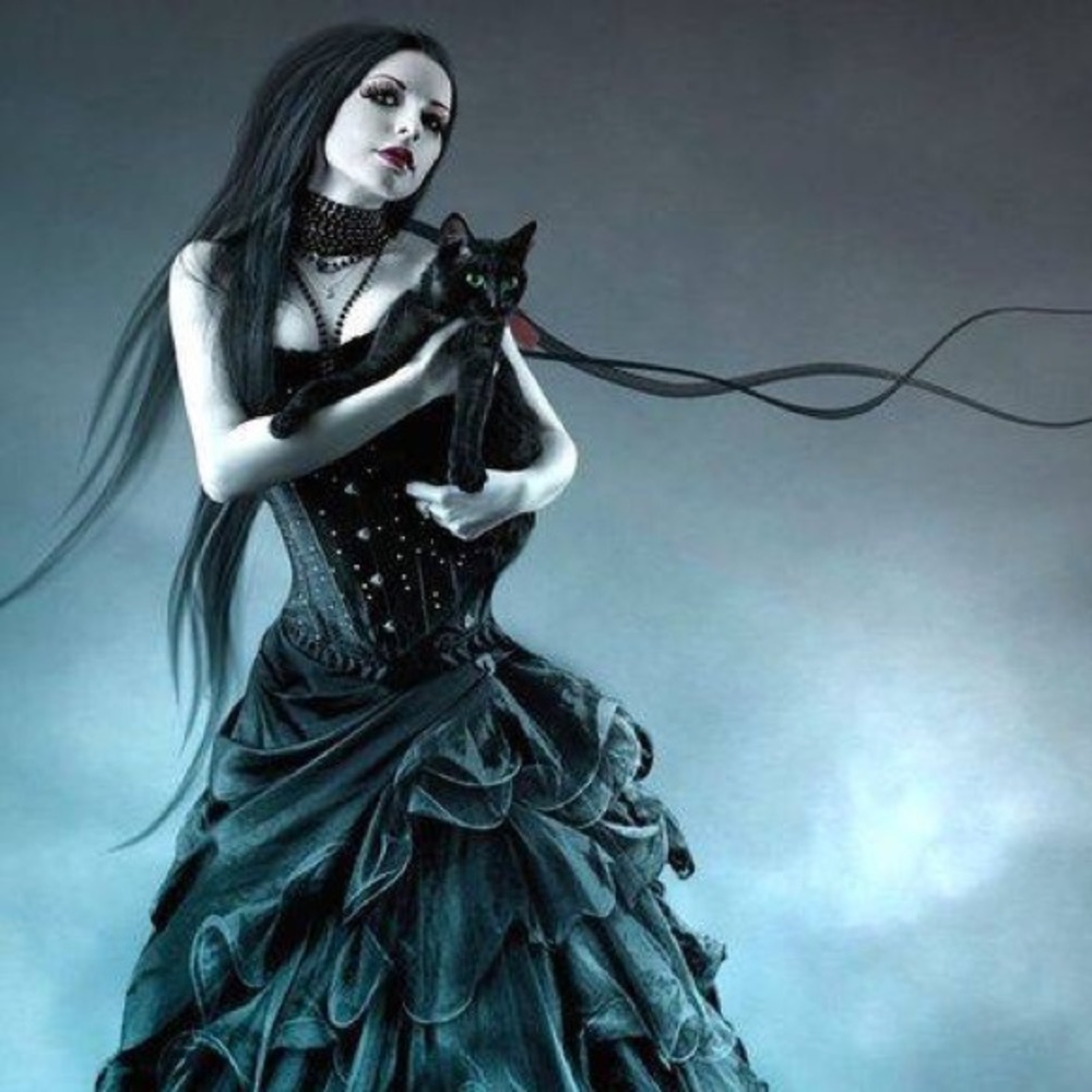 Meet your Posher, Chava