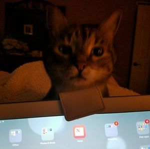 Meet your Posher, Jeana