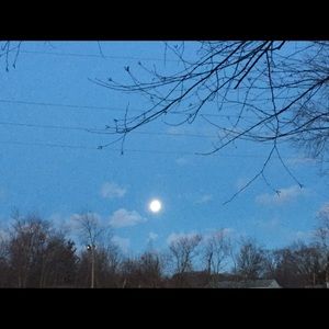 Meet your Posher, Shannon