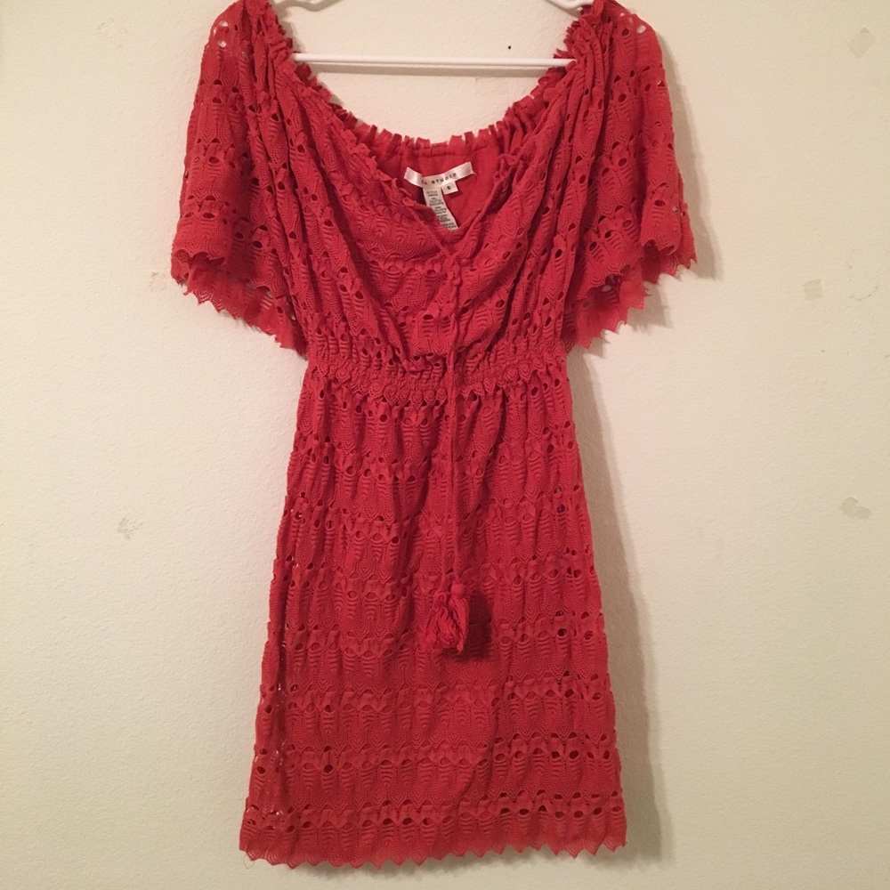 Max Studio Rust Burnt Orange Crotchet Dress