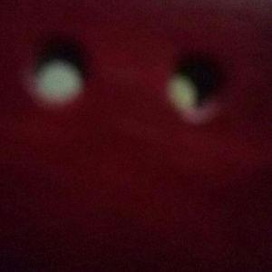 Meet your Posher, Milagros