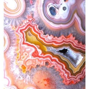 Meet your Posher, Regan