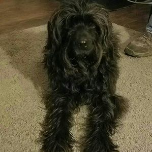 Meet your Posher, Dee