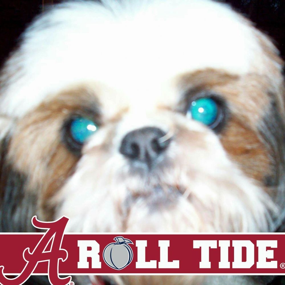 Meet your Posher, Melanie