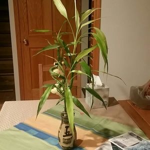 Meet your Posher, Sylwia