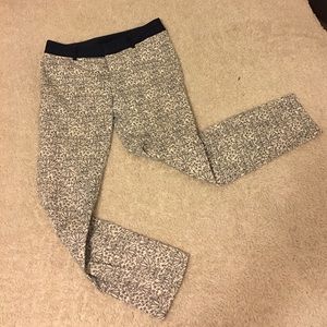 Downeast [basics] Blue Flower Dress Pants